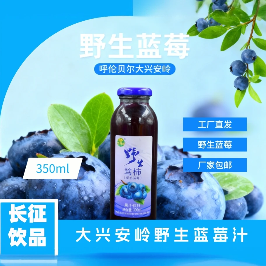 大源野 野生笃柿果汁饮料 源自北纬52°大兴安岭蓝莓 呼伦贝尔
