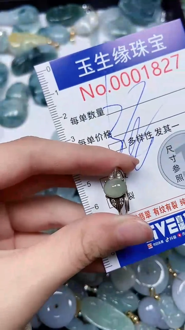 【闪购商品】翡翠颈饰未镶嵌闪购00001827