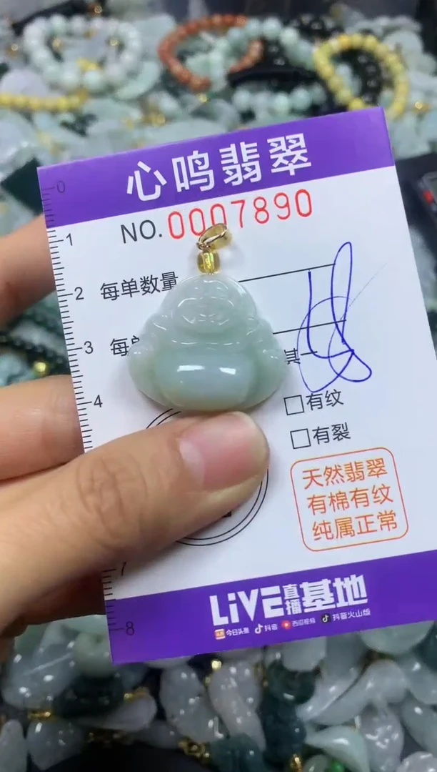 【闪购商品】翡翠颈饰未镶嵌闪购007890