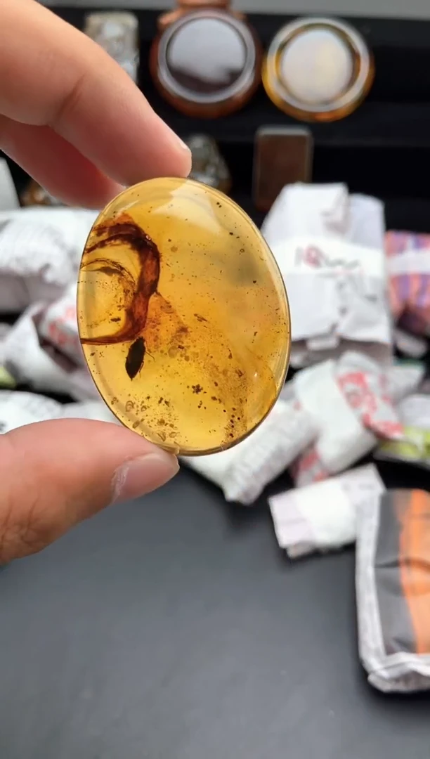 琥珀颈饰未镶嵌虫珀随形