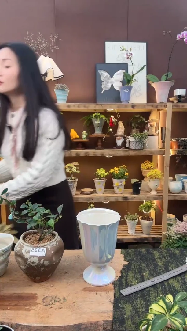 无花朵花盆口12高18