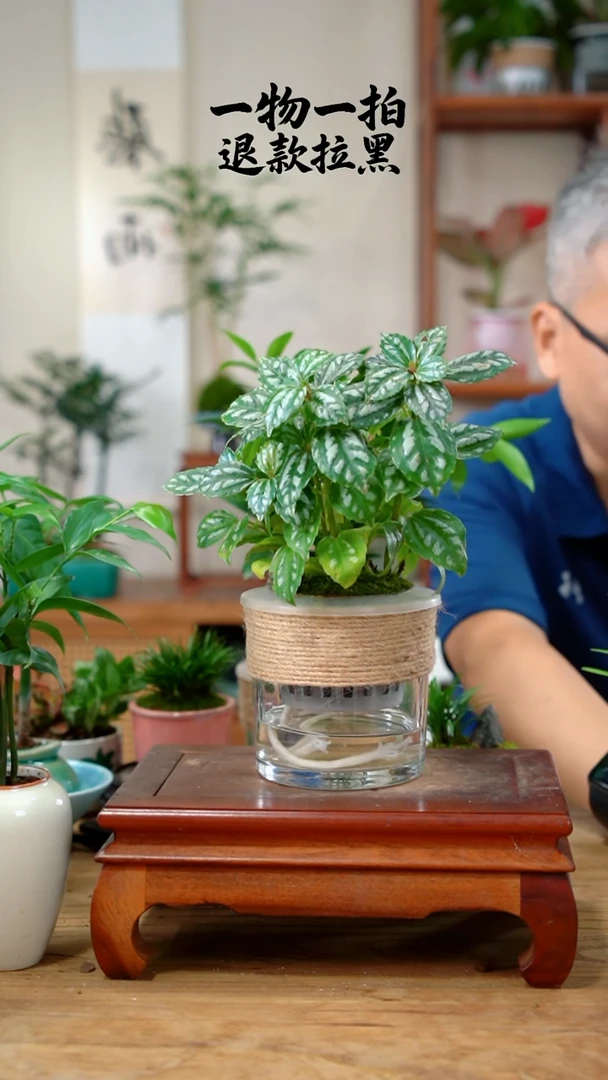 完全开放用****2冰水花888