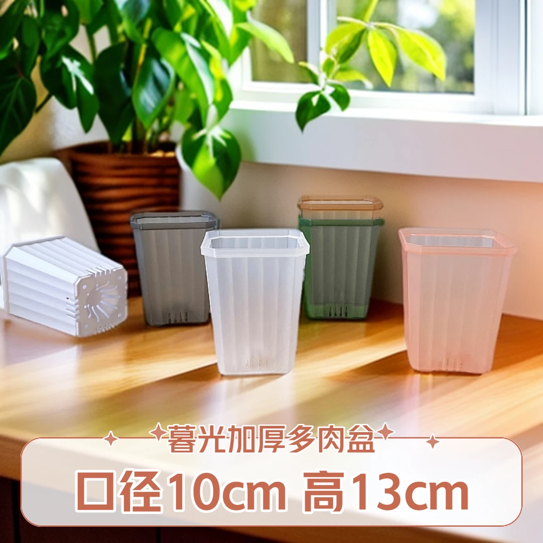 新款暮光花盆加高厚10cm方口半透明塑料彩色多肉热绿植蝴蝶兰花盆