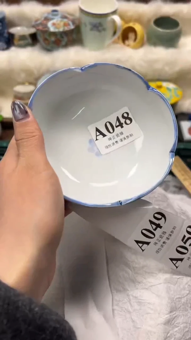 【闪购商品】瓷片          A048