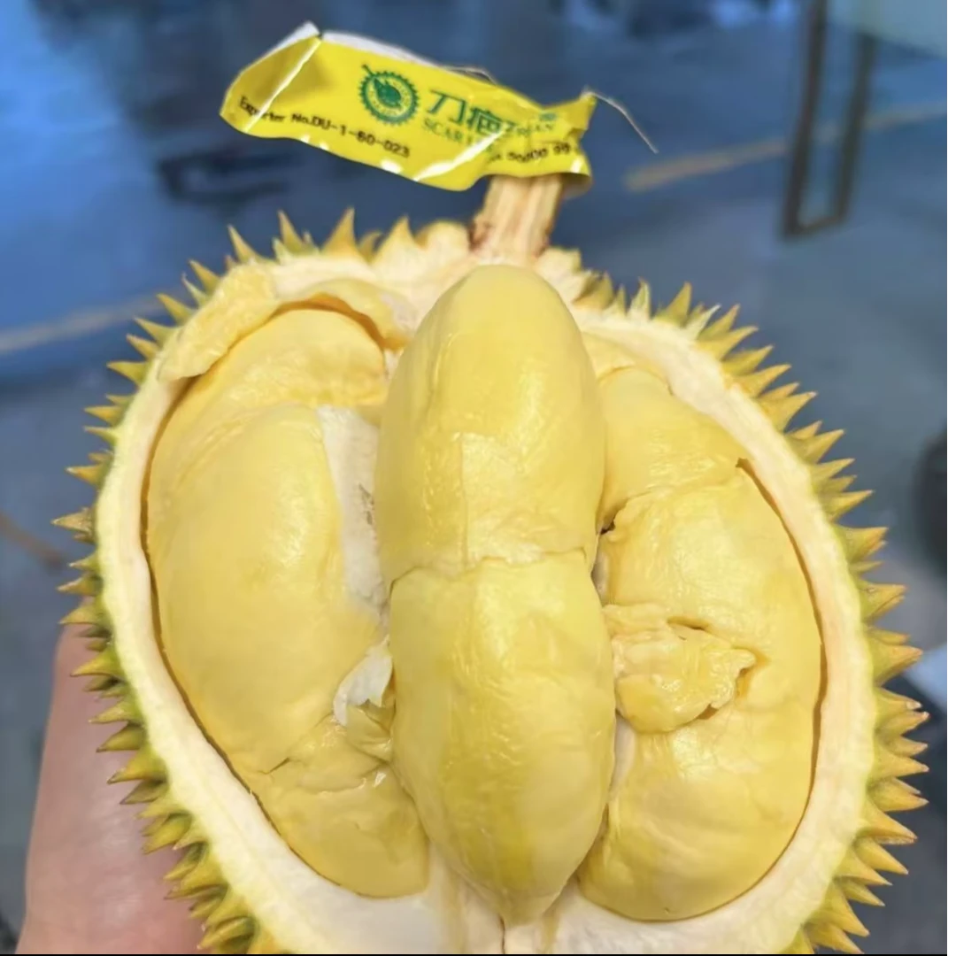 【刀疤李丨纯肉福利】泰国树熟金枕新鲜榴莲1-3斤现开先发金字塔的品质同城小时达闪送到家核小金枕泰国