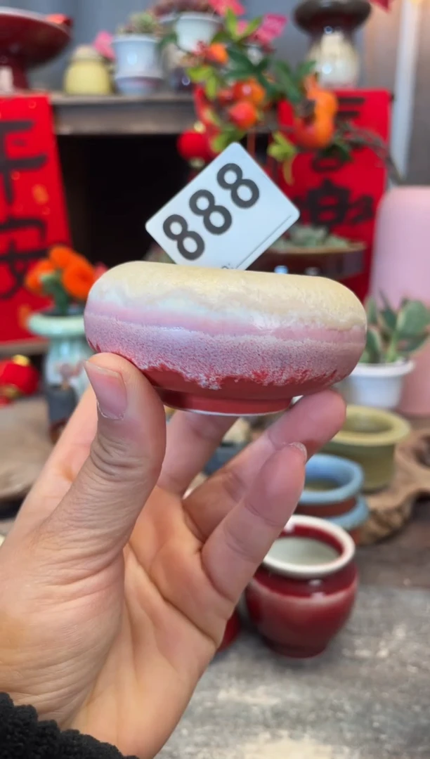 【闪购商品】摆件888知木小芳花盆