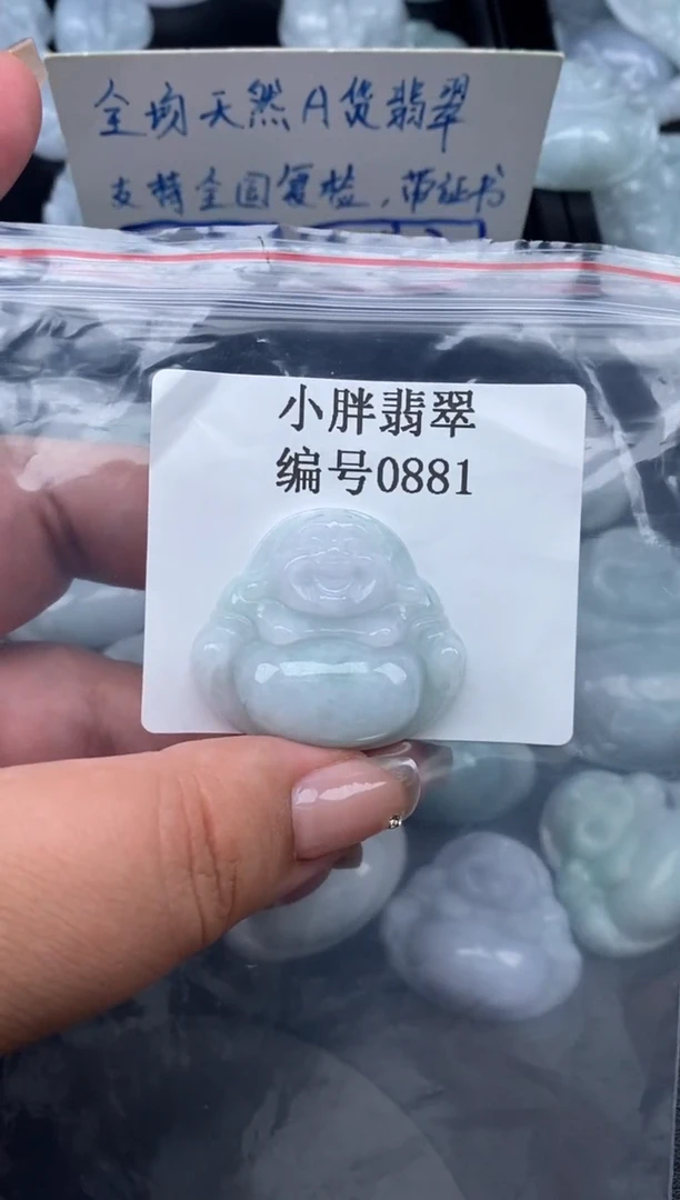 翡翠未镶嵌颈饰缅甸天然A货翡翠0881
