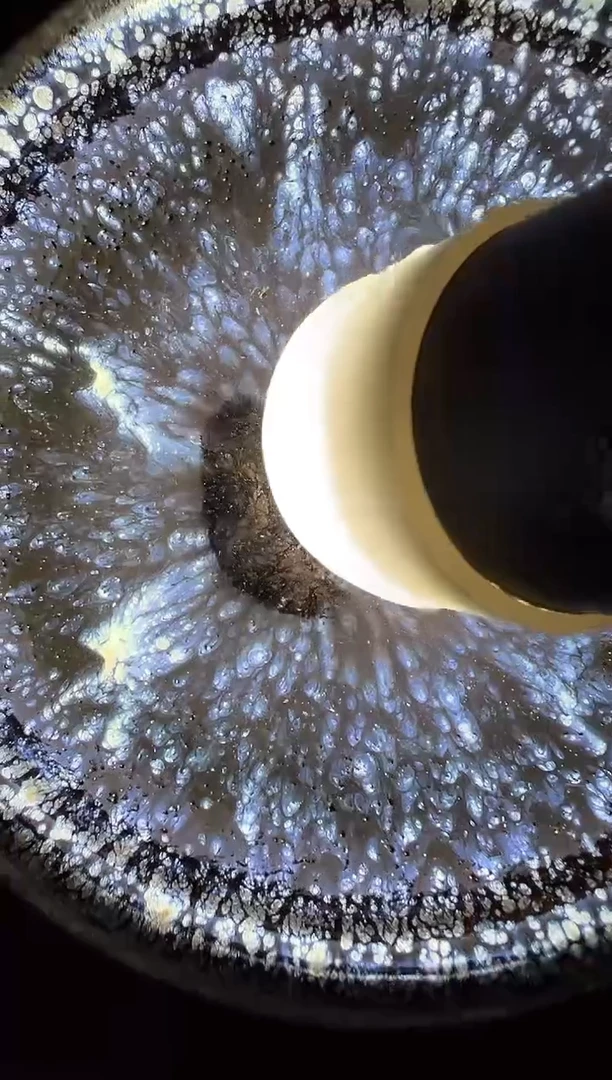 茶盏10双和龙窑赖晓波开窑360