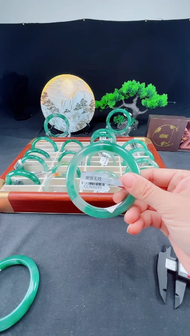 未镶嵌手镯石英质玉（非洲翠）真品上等纯天然非洲翠玉手镯石英质玉