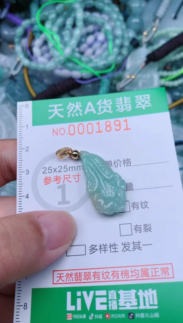 翡翠未镶嵌颈饰.0001891