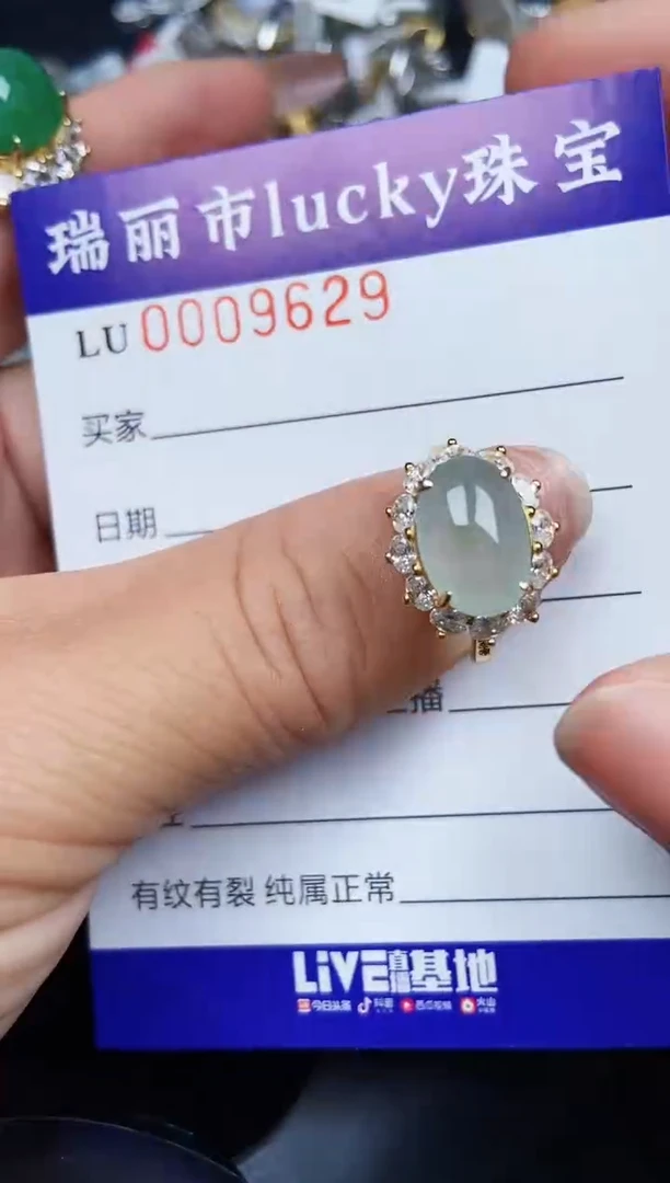 翡翠银S925镶嵌颈饰9629