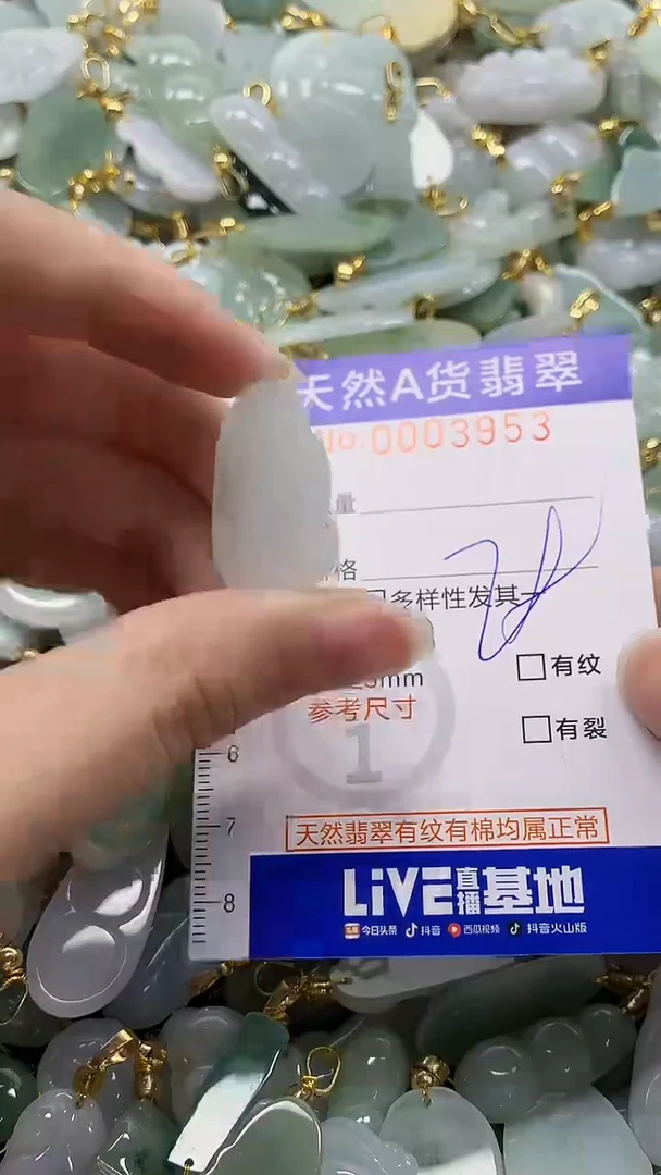 颈饰未镶嵌翡翠纯天然a货翡翠