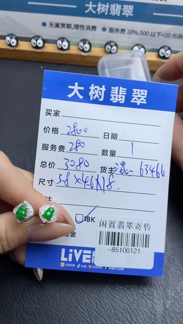 颈饰18K金镶嵌翡翠耳饰多人-85106121