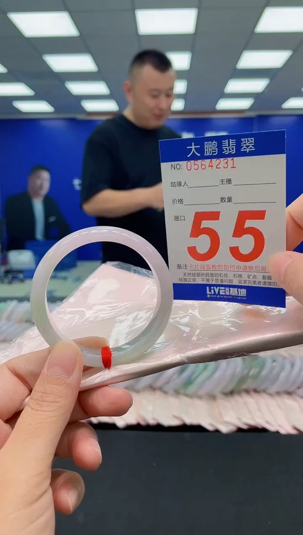 未镶嵌手镯翡翠AAAAAAAAA