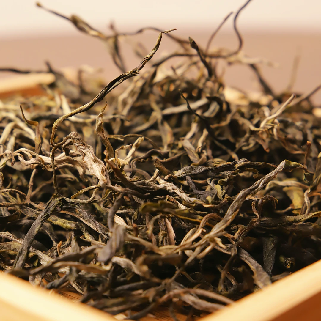 【老班章四十号】2025头春古树茶碎