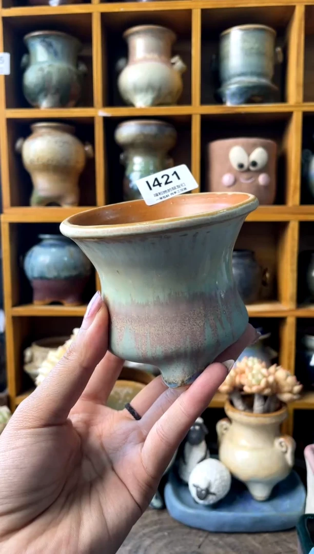 421内口8【多肉花盆多肉盆】