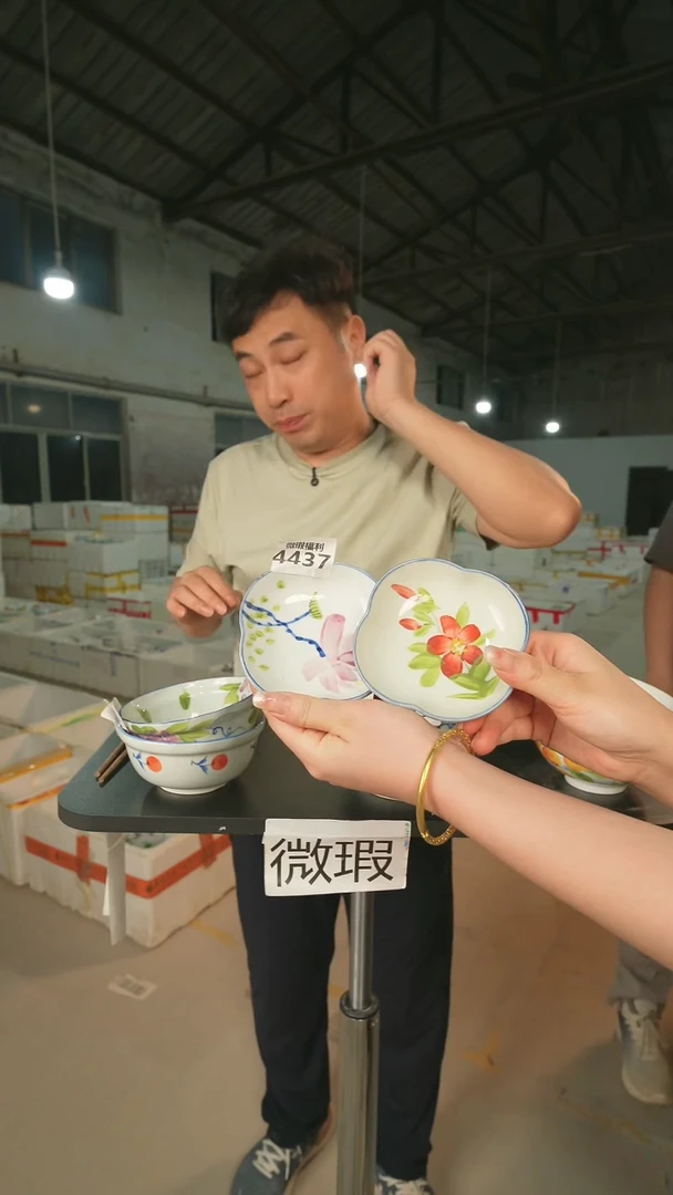 碗2只装 景德镇高温釉下手绘陶瓷