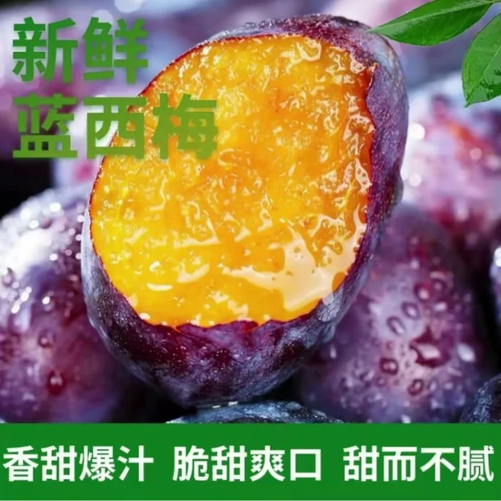 【买三斤送两斤】2025年头茬西梅水果新鲜现摘西梅酸甜可口当季YG