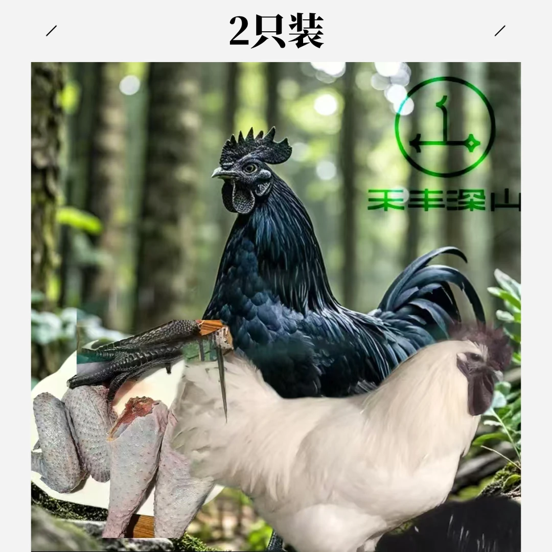 【禾丰深山】2只有机盐津乌骨公鸡散养240天（可以砍块发货）