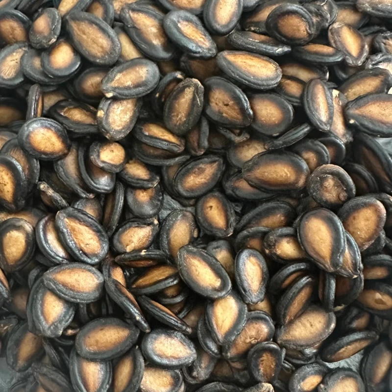 农家水煮花生（西瓜子）