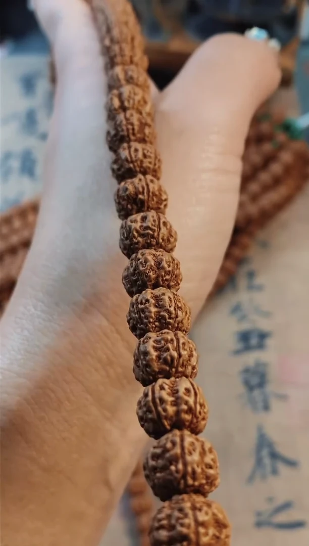 【闪购商品】金刚菩提手串659龙爪梅花尺寸10左右+钢丝刷