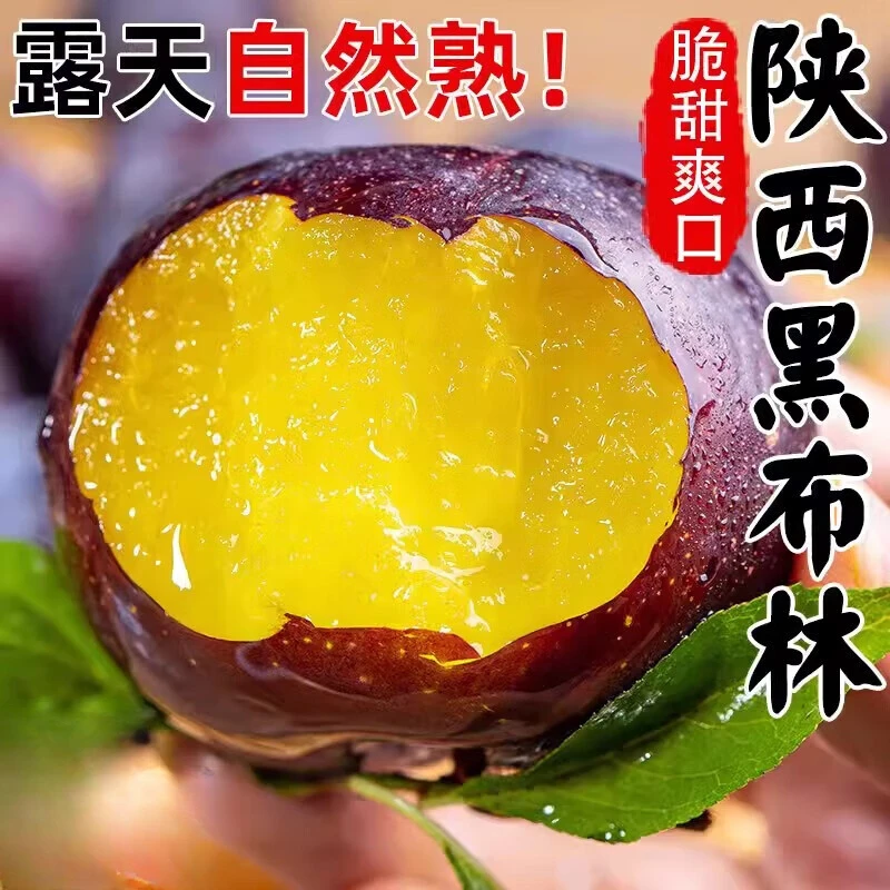 正宗陕西黑布林李子脱骨脆李新鲜黄肉大果恐龙蛋当季水果孕妇现摘