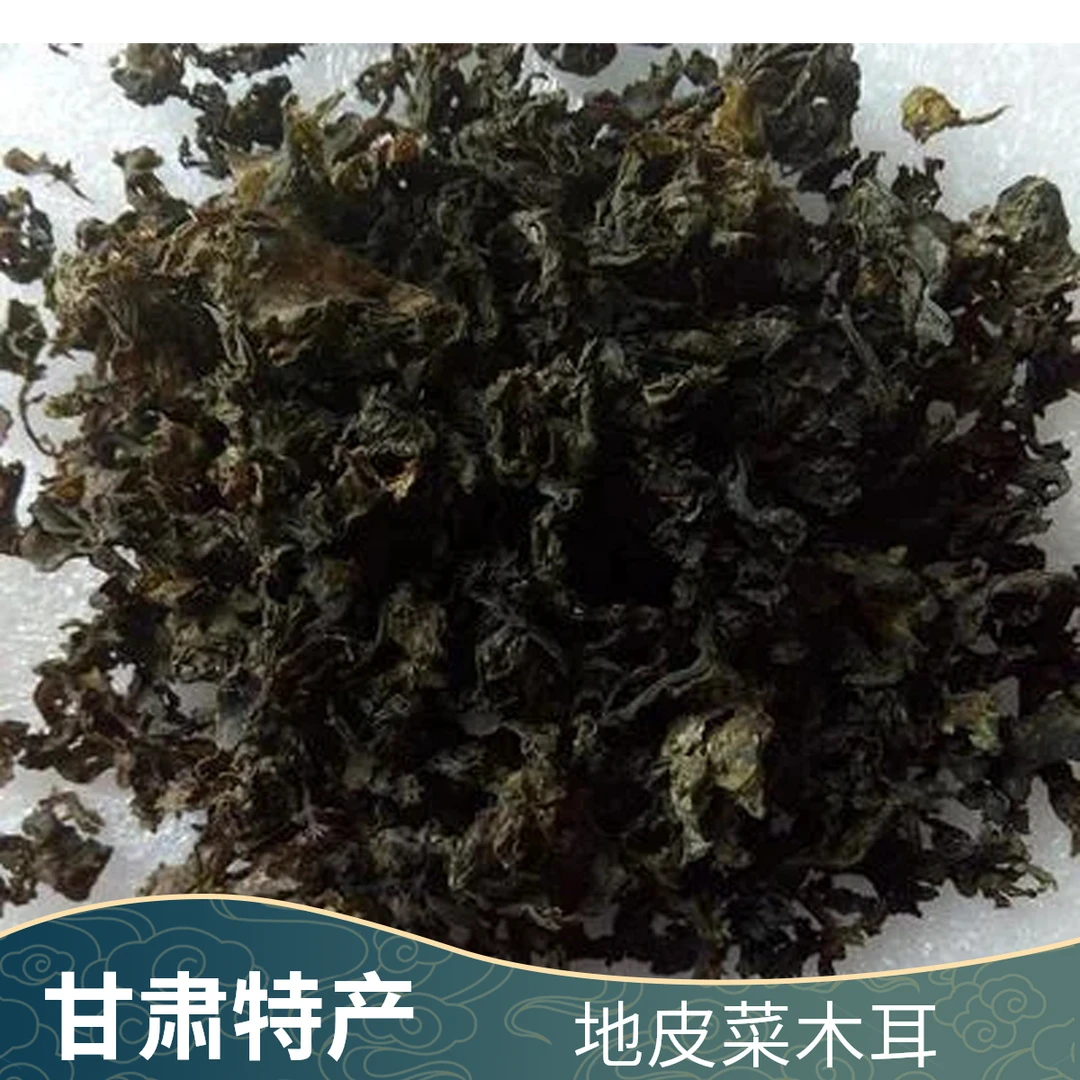甘肃大自然的馈赠野生东北地皮菜地菜地软木耳野菜甘肃特产地木耳