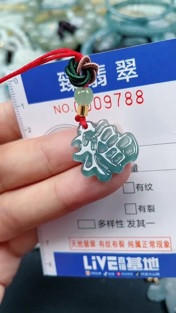 颈饰未镶嵌翡翠.0009788