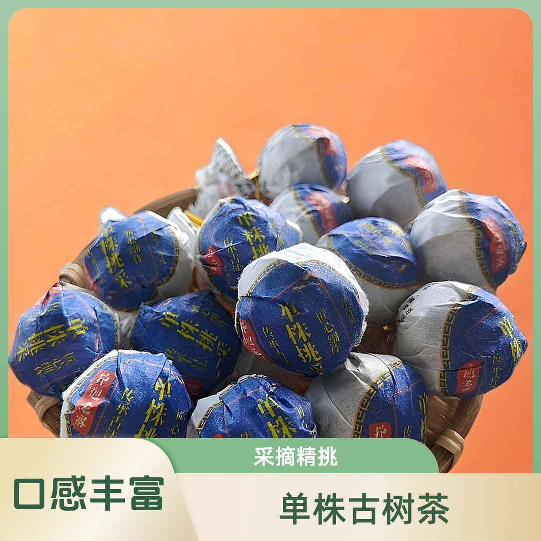 【组长严选】2024年古树单株挑采（龙珠）