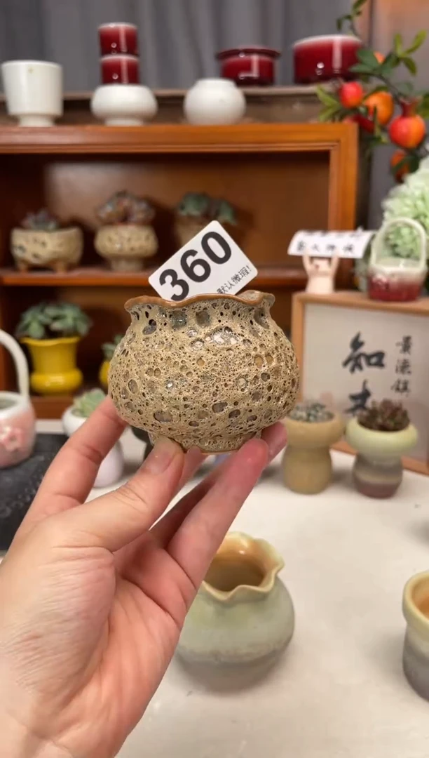 瓷片360小芳直播编号