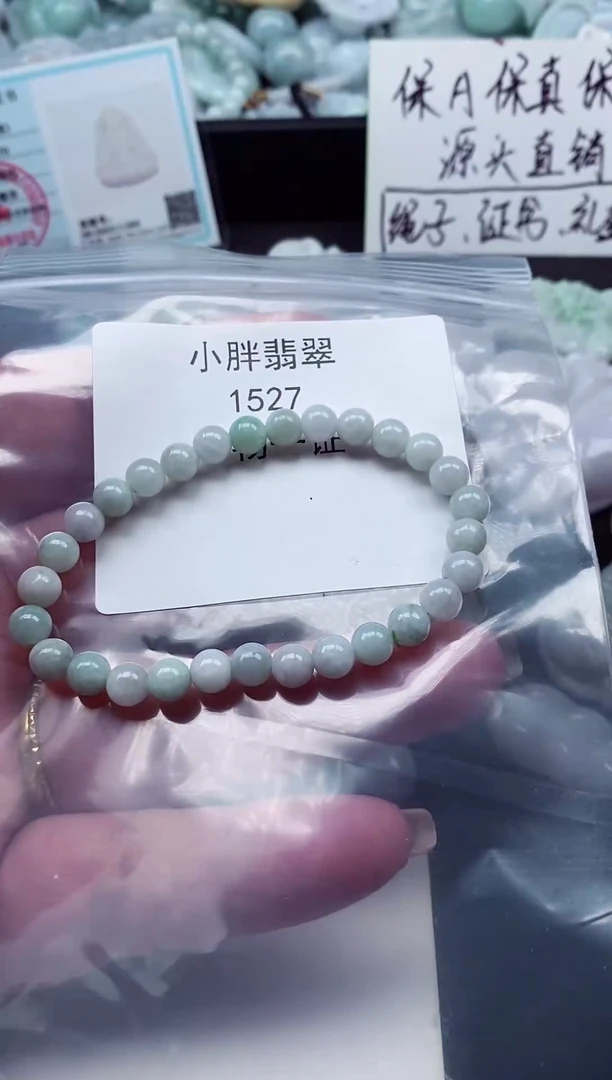 颈饰未镶嵌翡翠缅甸天然A货翡翠1527