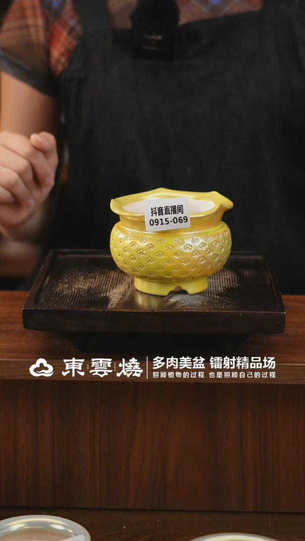 0915-069B杜康内口8