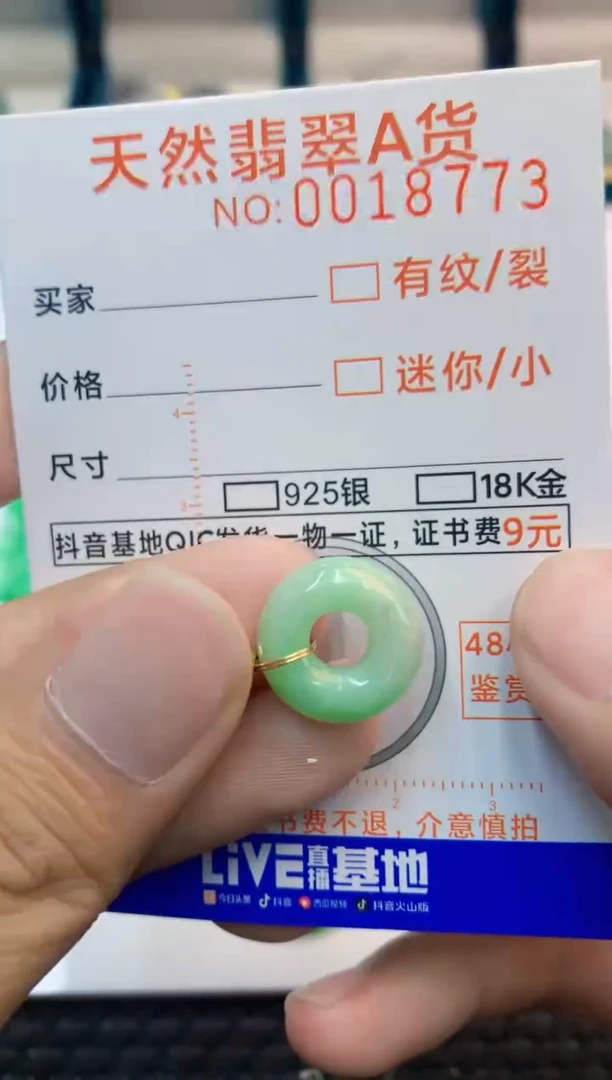 翡翠未镶嵌吊坠(不含链)1