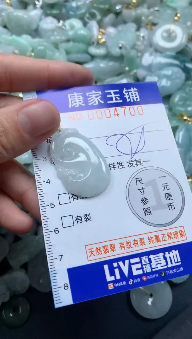 颈饰未镶嵌翡翠4700