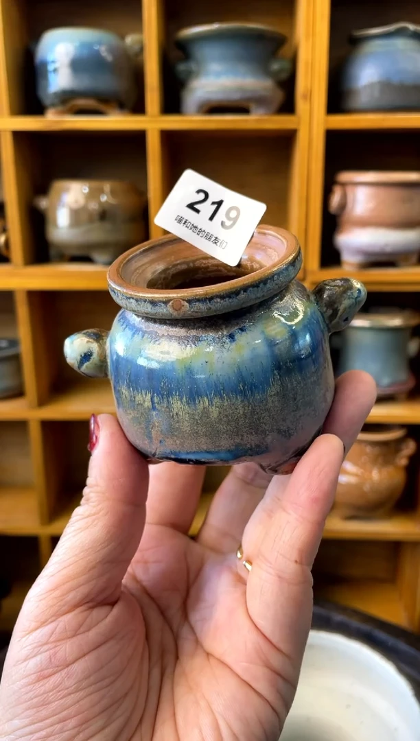 【闪购商品】陶219 内口4.5