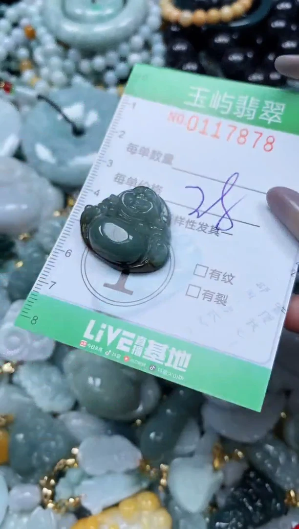 翡翠未镶嵌颈饰闪购0117878