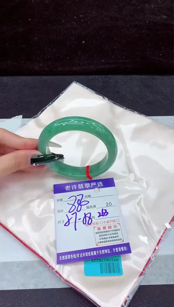 未镶嵌手镯翡翠1