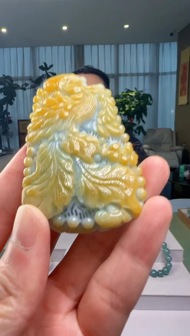 翡翠未镶嵌颈饰DY@@60B7J17512