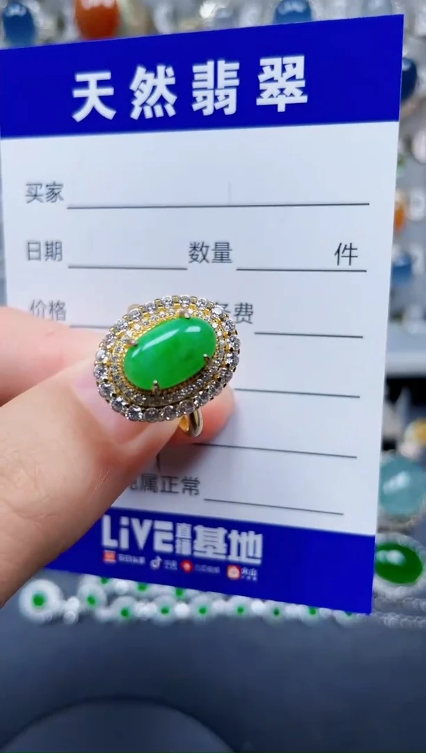 手链翡翠银S925镶嵌147