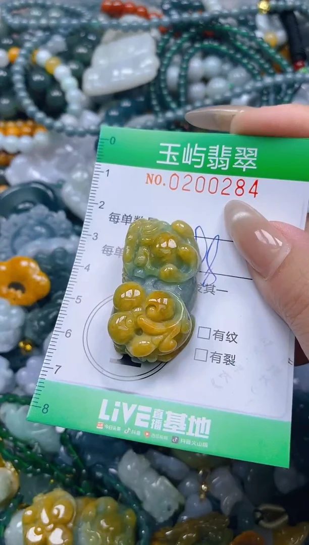 颈饰未镶嵌翡翠闪购0200284