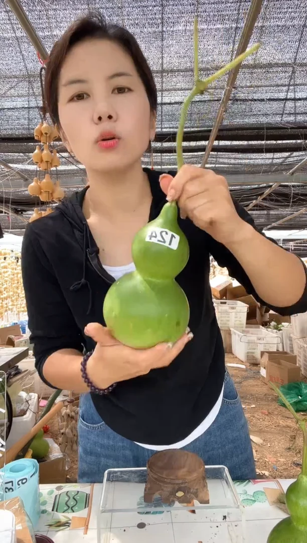 124天然葫芦摆件 一物一拍龙头不保售后微瑕疵