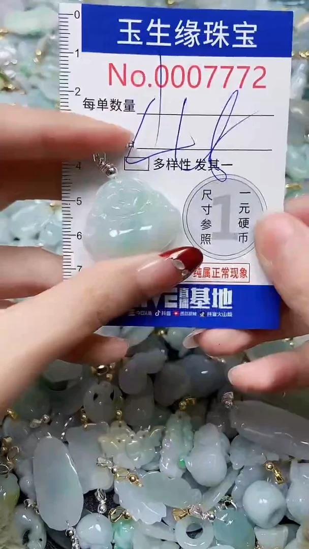 【闪购商品】翡翠颈饰未镶嵌闪购00007772