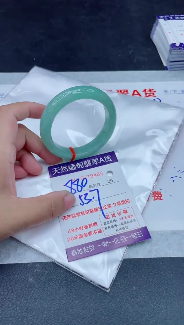 未镶嵌手镯翡翠880.0000