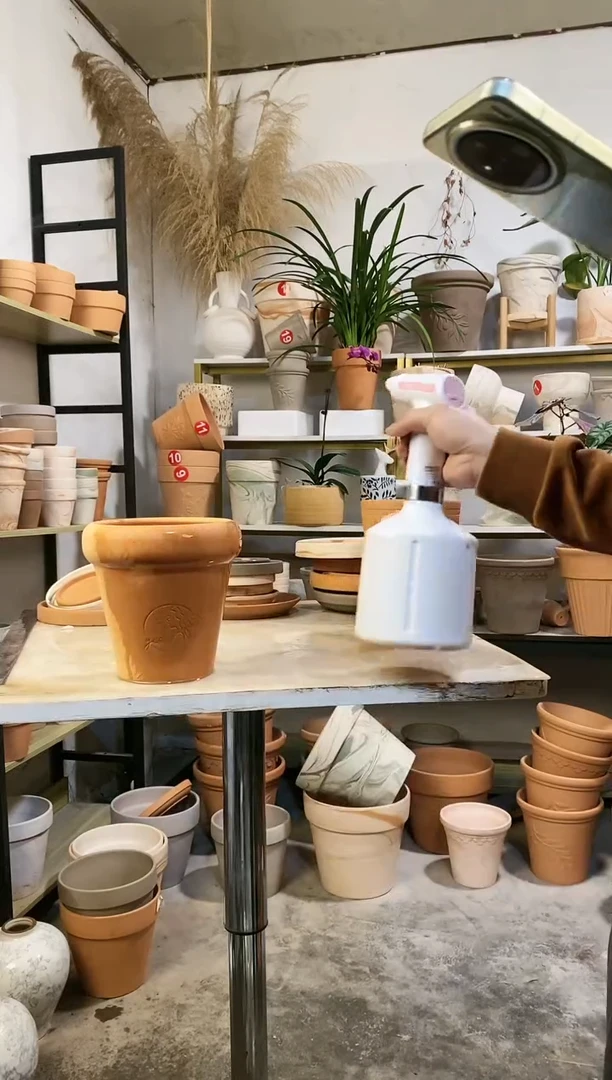 【闪购商品】红陶17*16红陶蘑菇 1盆无托