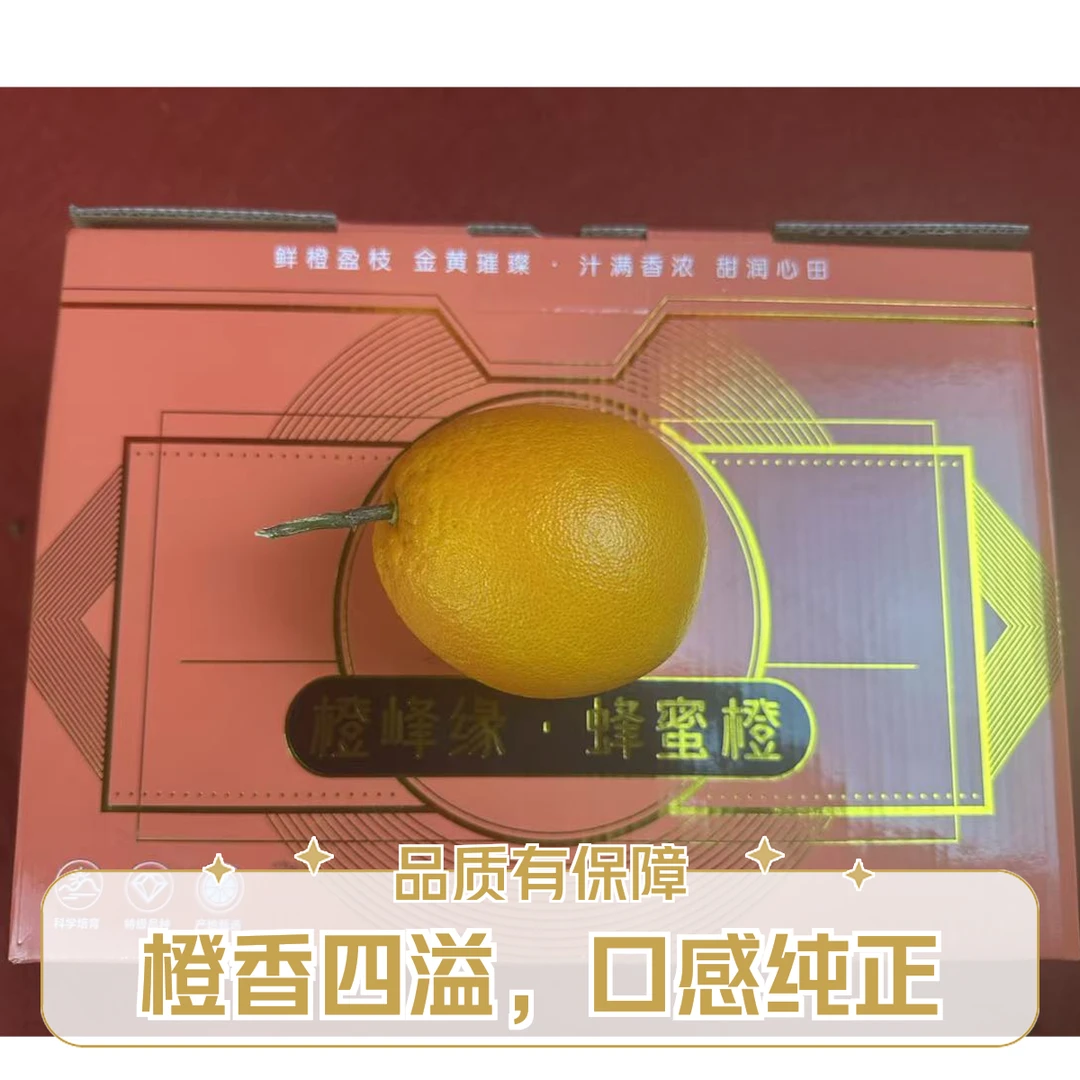 曲小果橙峰缘蜂蜜橙