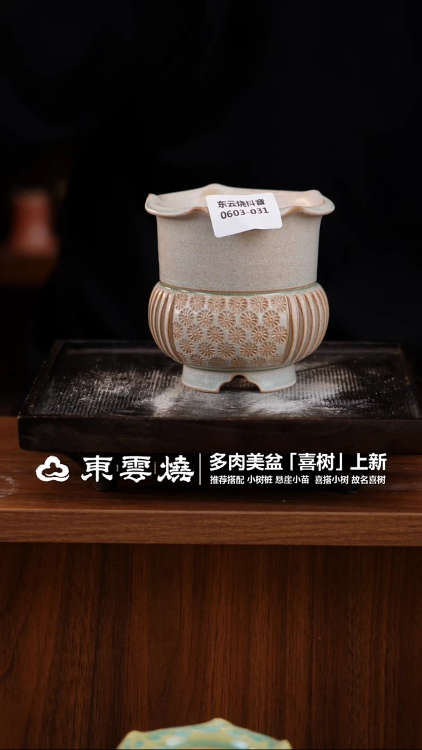 0603-031B 喜树口8