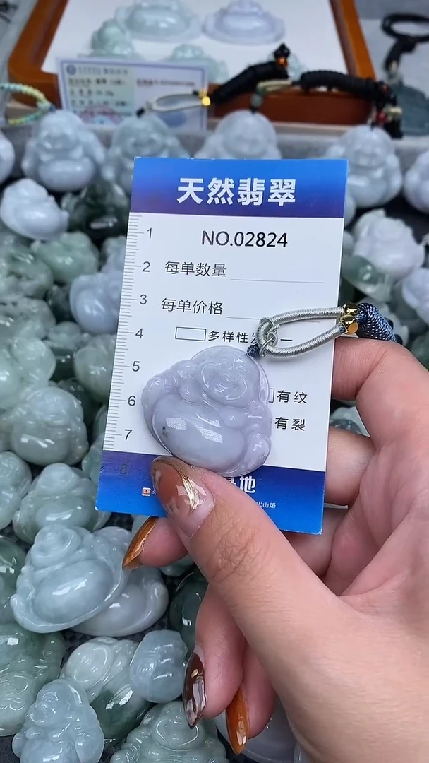 颈饰未镶嵌翡翠纯天然A货翡翠2824