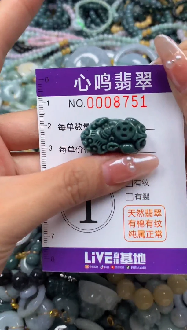 颈饰未镶嵌翡翠闪购008751