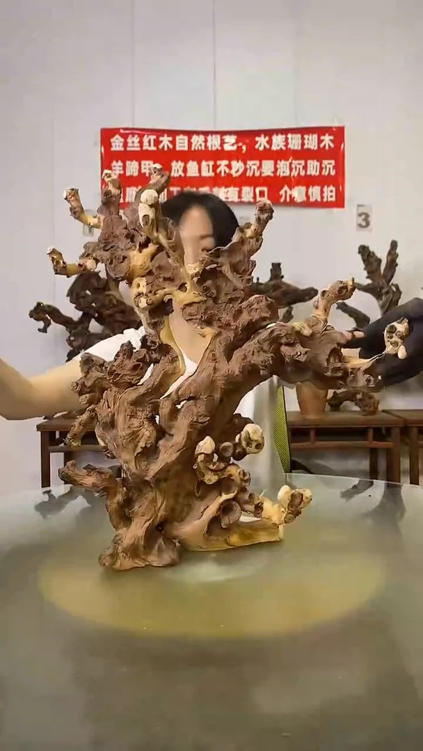 香榧木痴****童金丝红木   羊蹄甲