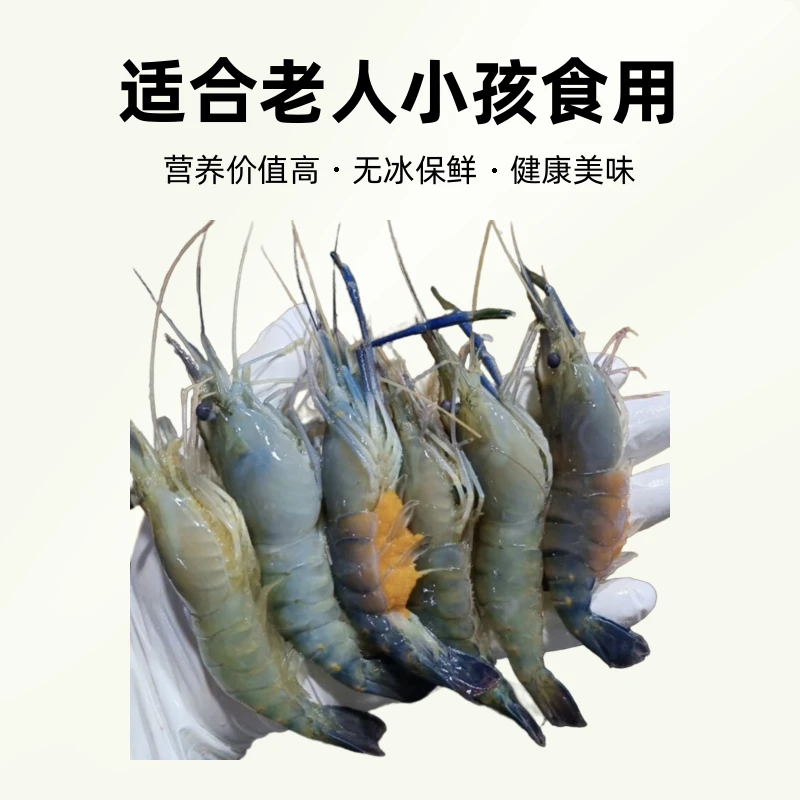新鲜速冻罗氏虾四斤带软壳15—25头